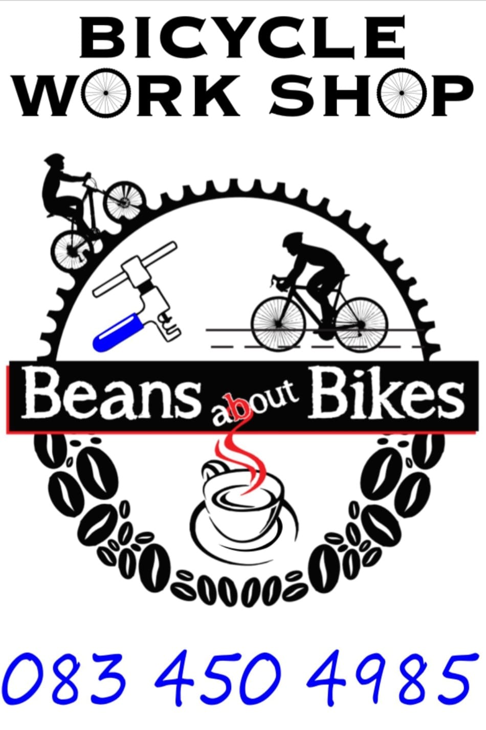 Professional bicycle Cleaning